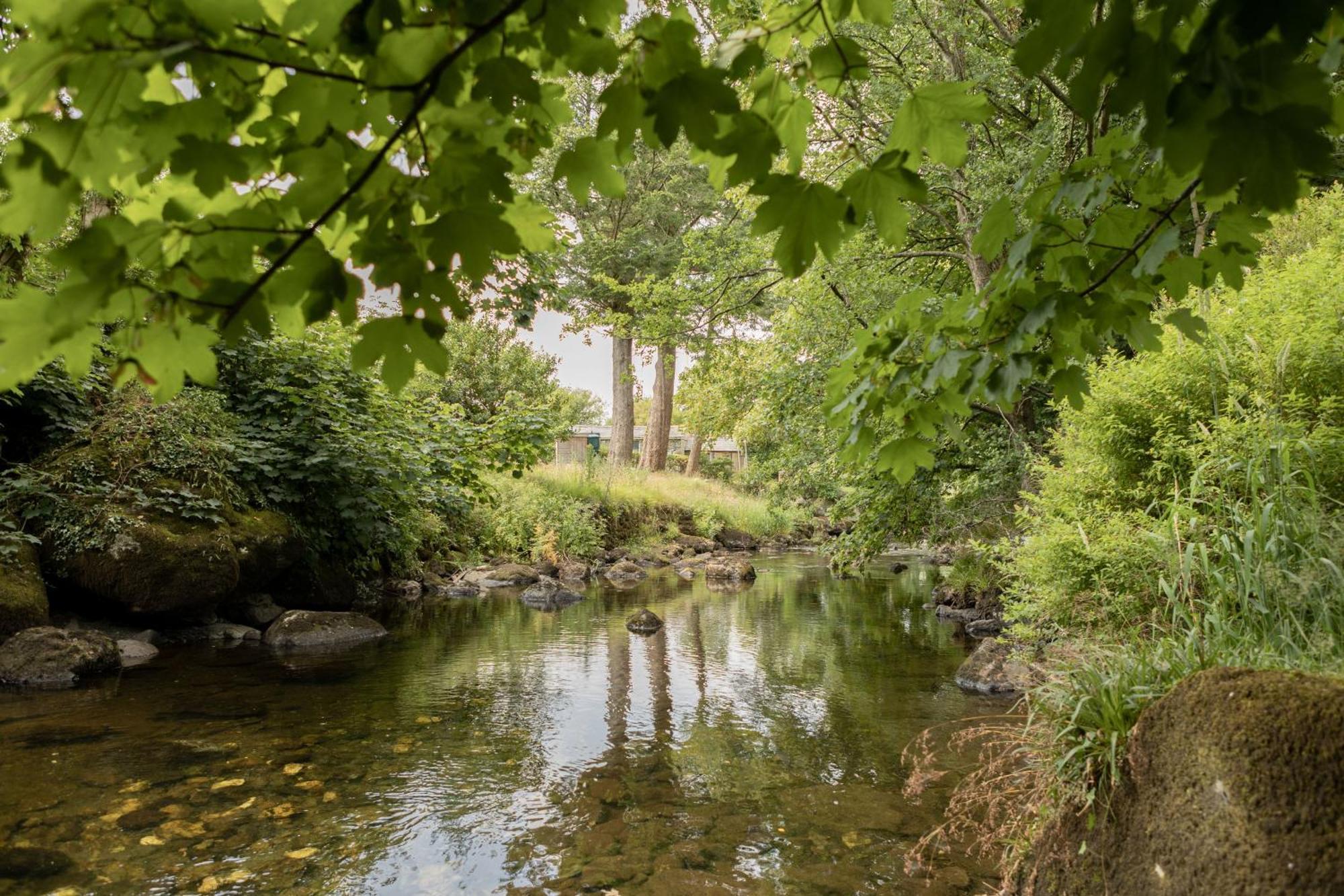Afonfa - Llanuwchllyn Villa Bala Dış mekan fotoğraf